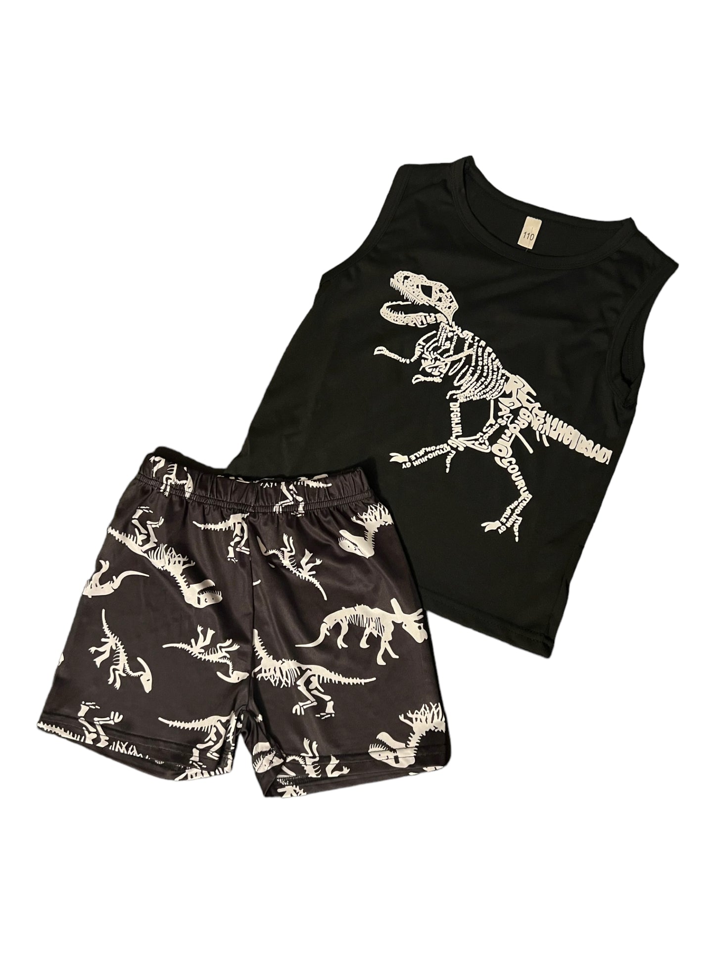 dinosaur set
